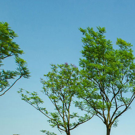 標(biāo)識(shí)系統(tǒng)設(shè)計(jì)作品案例展示